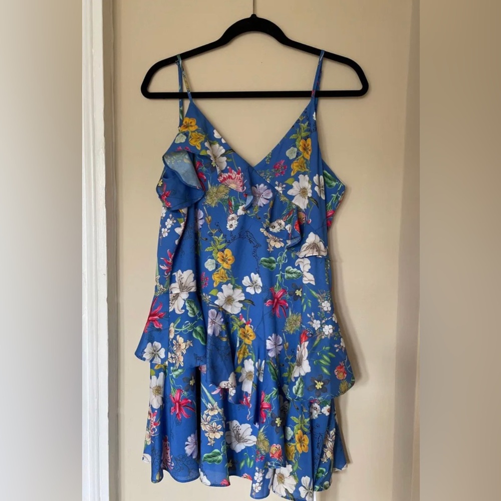 NWT Parker NY floral ruffle dress